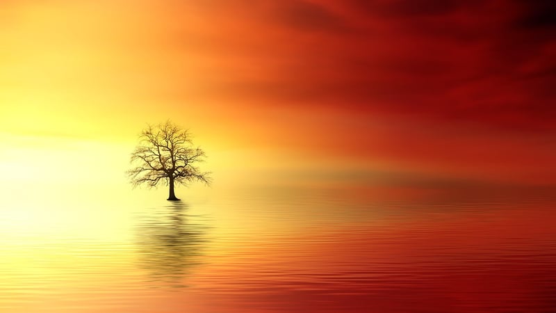 Mystical Lighting